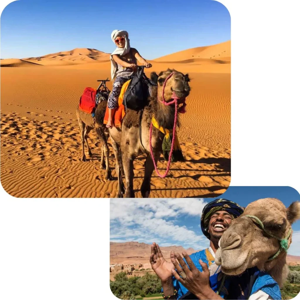 marrakech desert trips and excursions