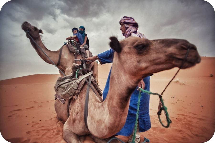 Merzouga Morocco Camel Ride