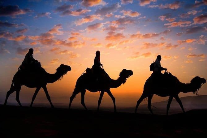 Sunset Camel ride in Merzouga desert