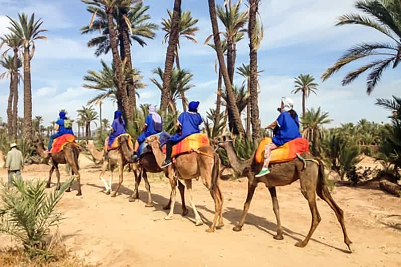 best marrakech camel ride morocco