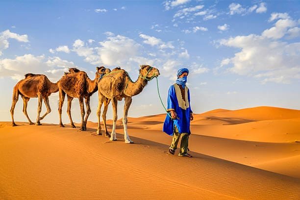 2-Day Tour from Marrakech to Merzouga Desert