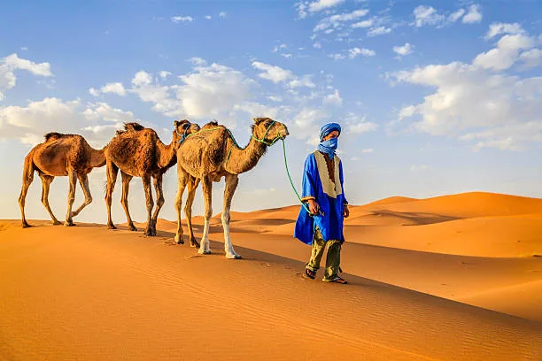 2 Day Tour from Marrakech to Merzouga Desert