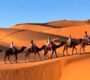 Planning a Trip to Morocco Your Ultimate Guide for 2025 and 2026