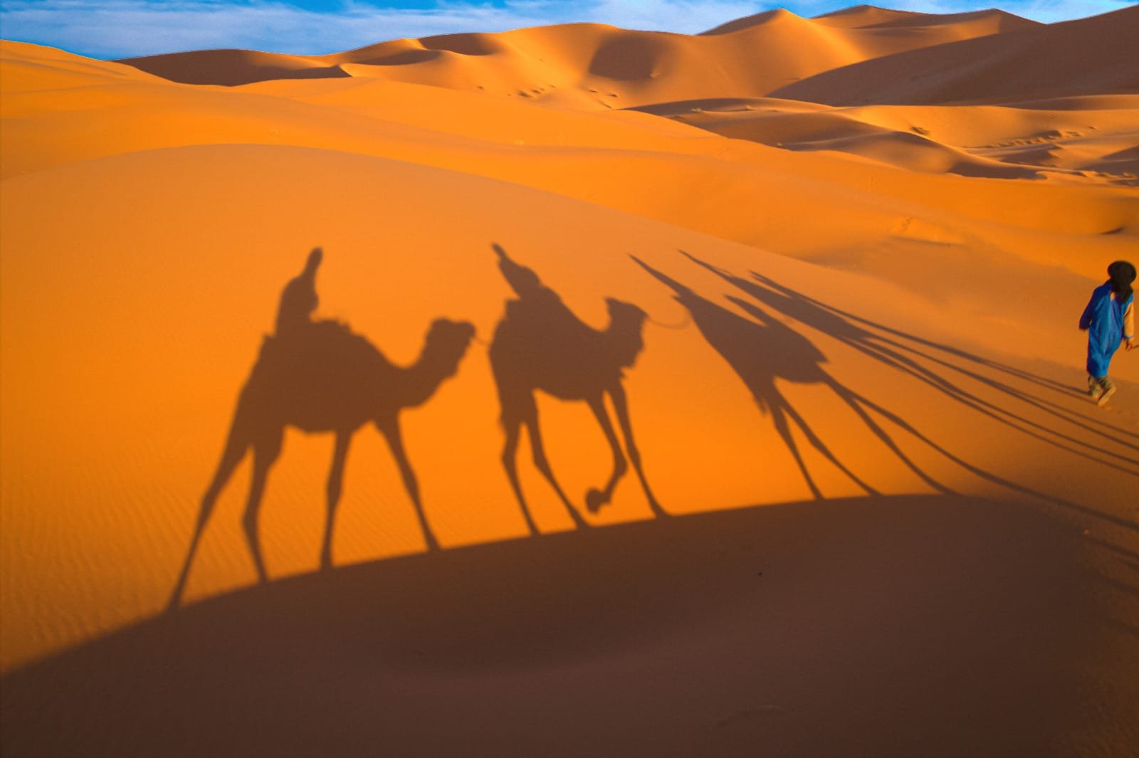 the best places for morocco camel trekking